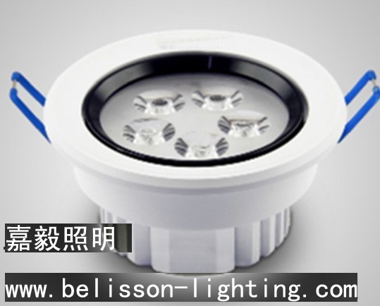LED Ceiling Light Downlight