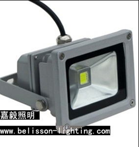 10W LED Flood Light
