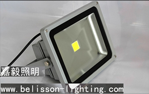 50W LED Flood Light