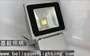 80W LED Flood Light
